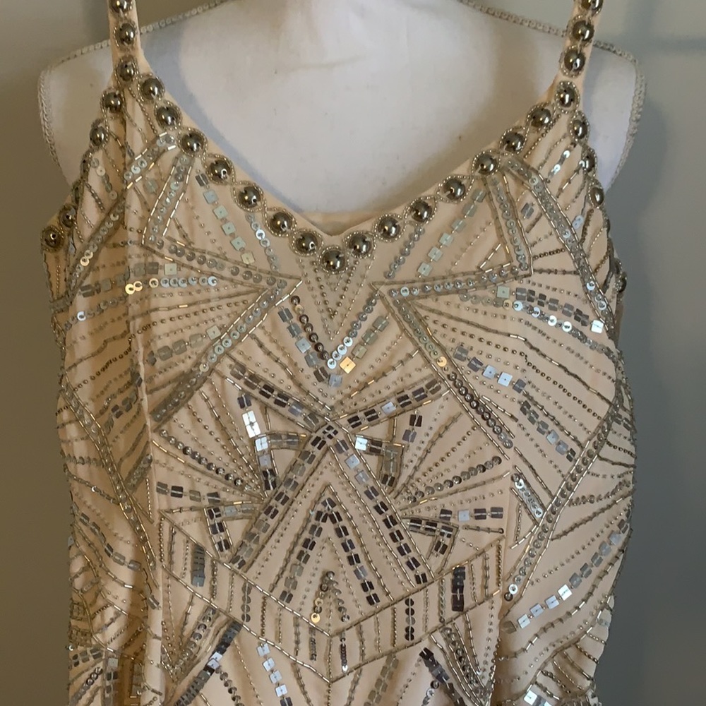 NWT Parker Devan’s Dress in blush - Picture 7 of 11